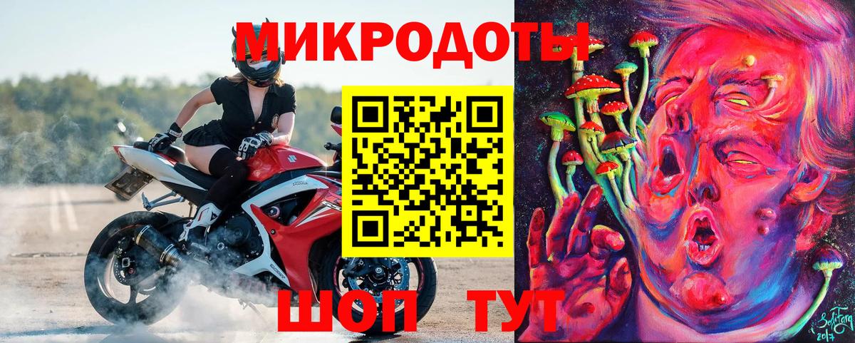 Галлюциногенные грибы Psilocybe Барабинск
